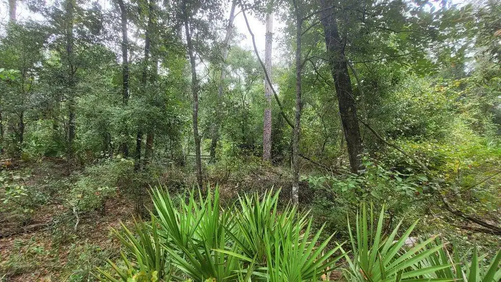 0 Piper Place, FL 32060 photo 4