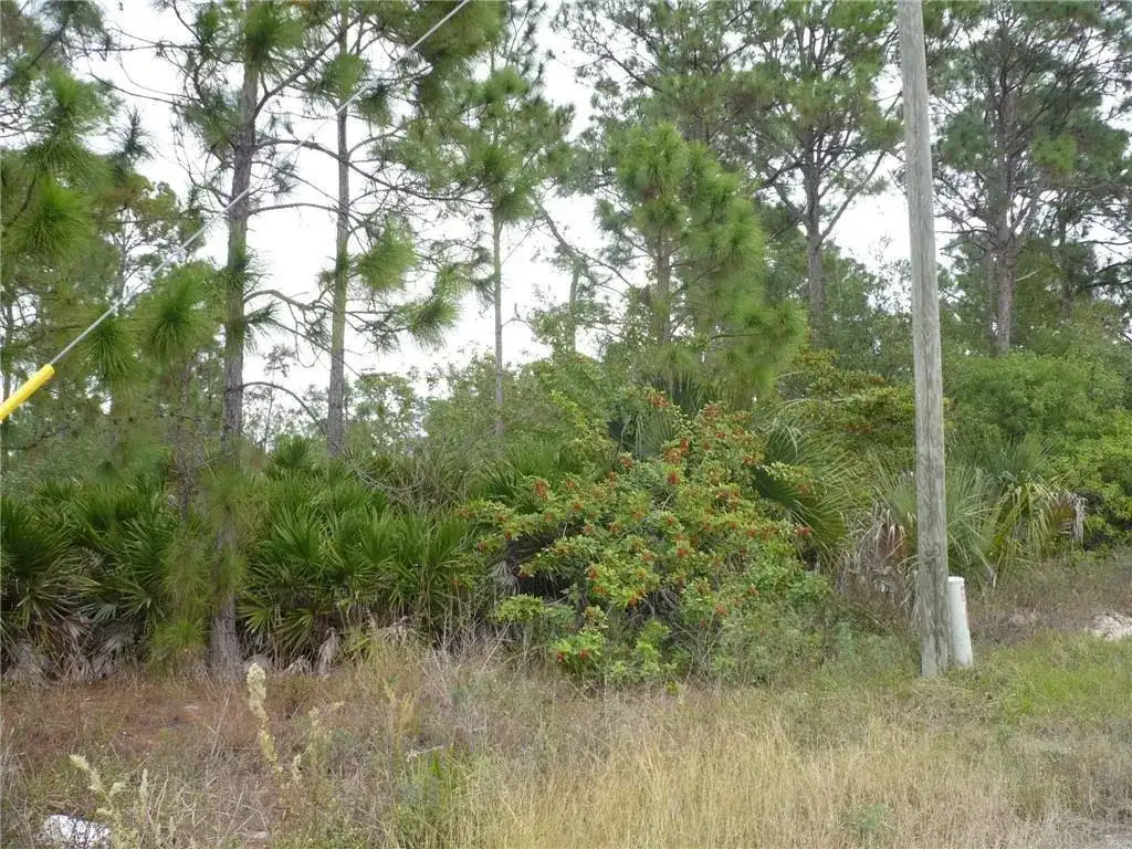 320 G Road, FL 33935 photo 3