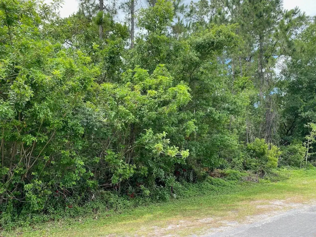 2351 Allamanda Drive, FL 33855 photo 2