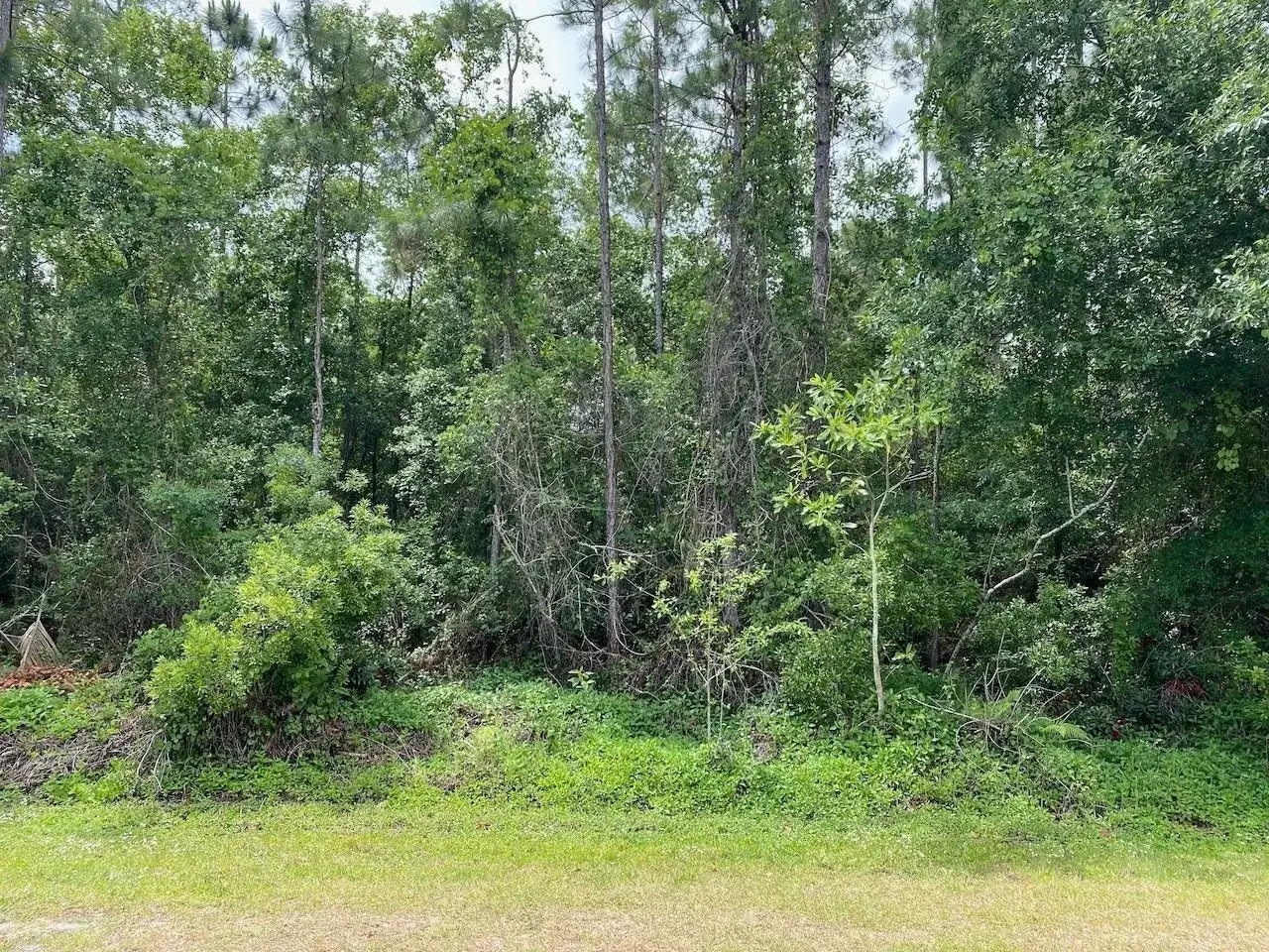 2351 Allamanda Drive, FL 33855 photo 4