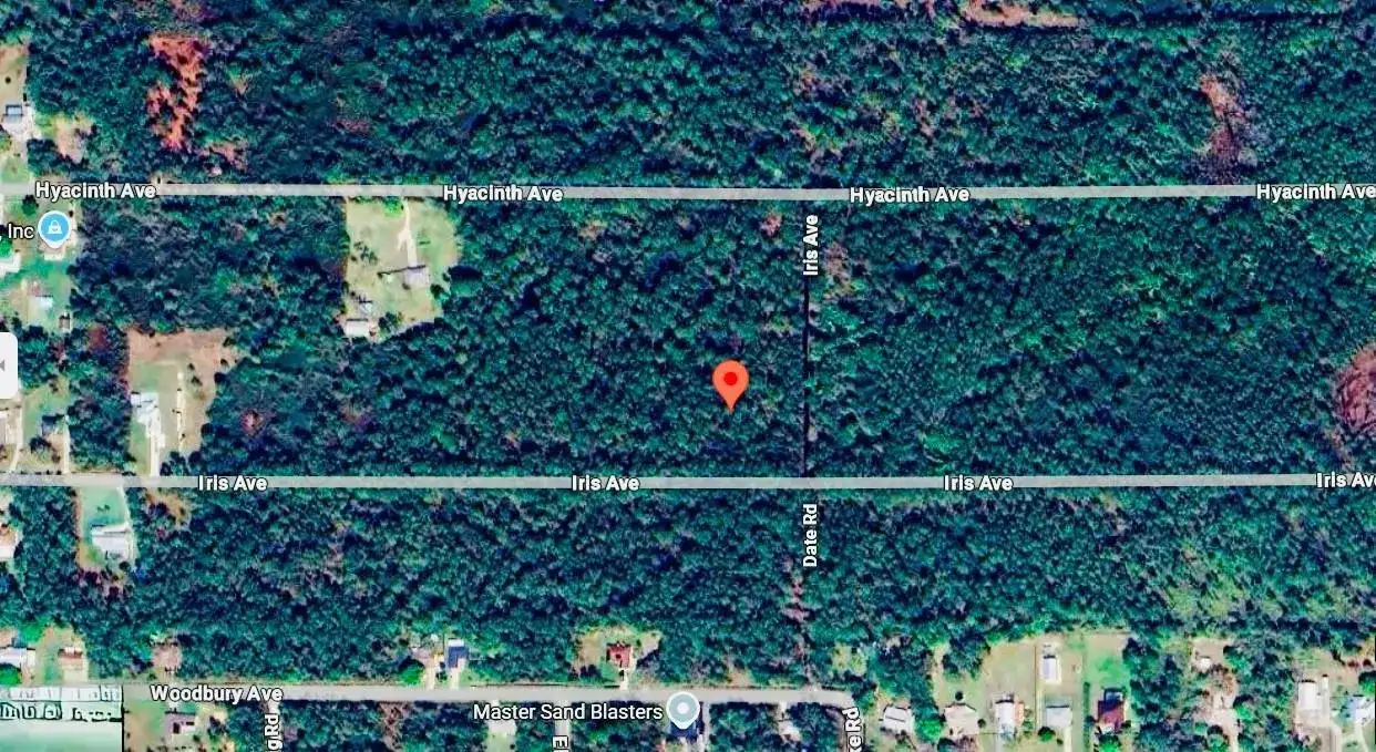 1218 Iris Avenue, Sebring FL 33875 photo 4