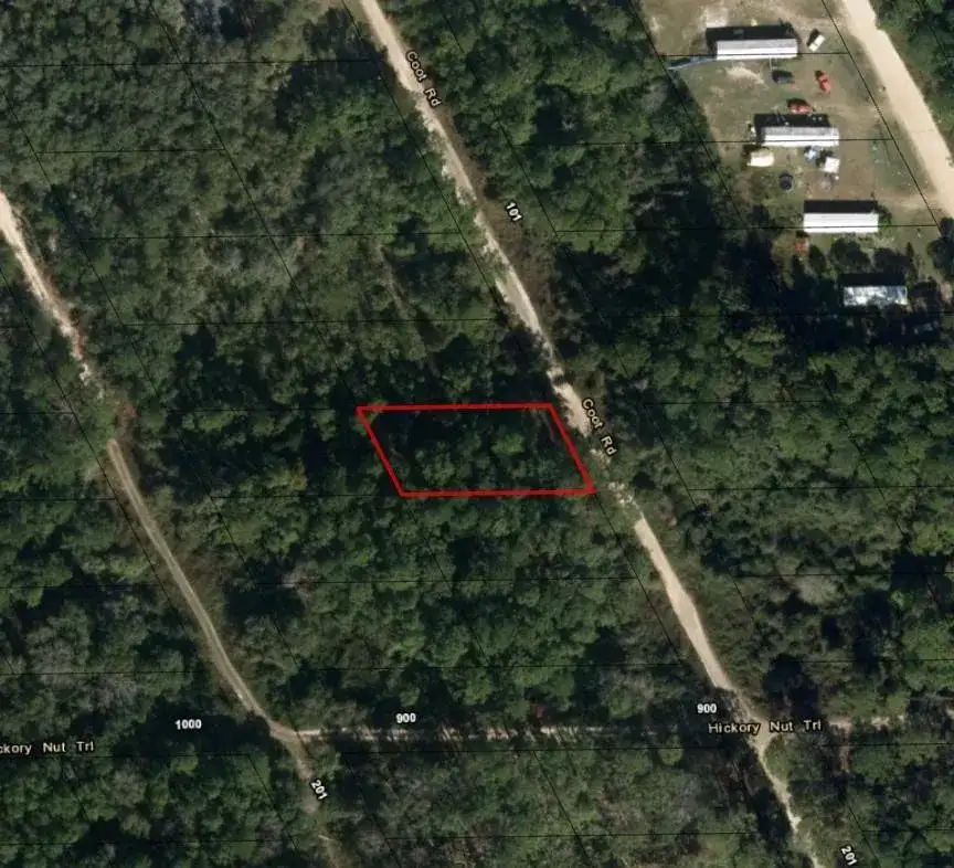 121 Coot Drive, FL 32148 photo 2