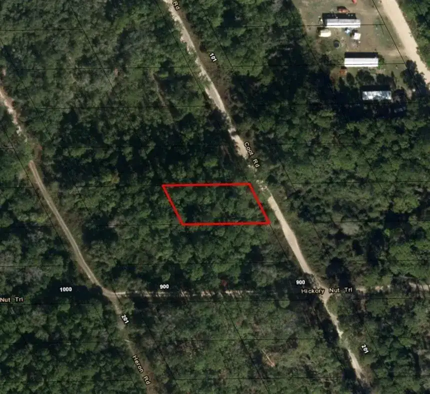 123 Coot Road, FL 32189 photo 2