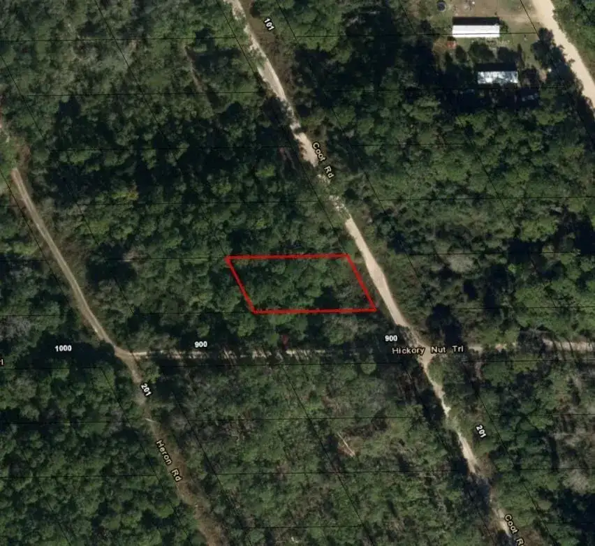 0 Coot Drive, FL 32189 photo 2