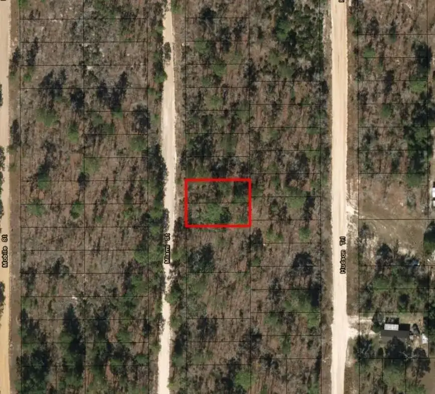 0 Miami Street, FL 32148 photo 2