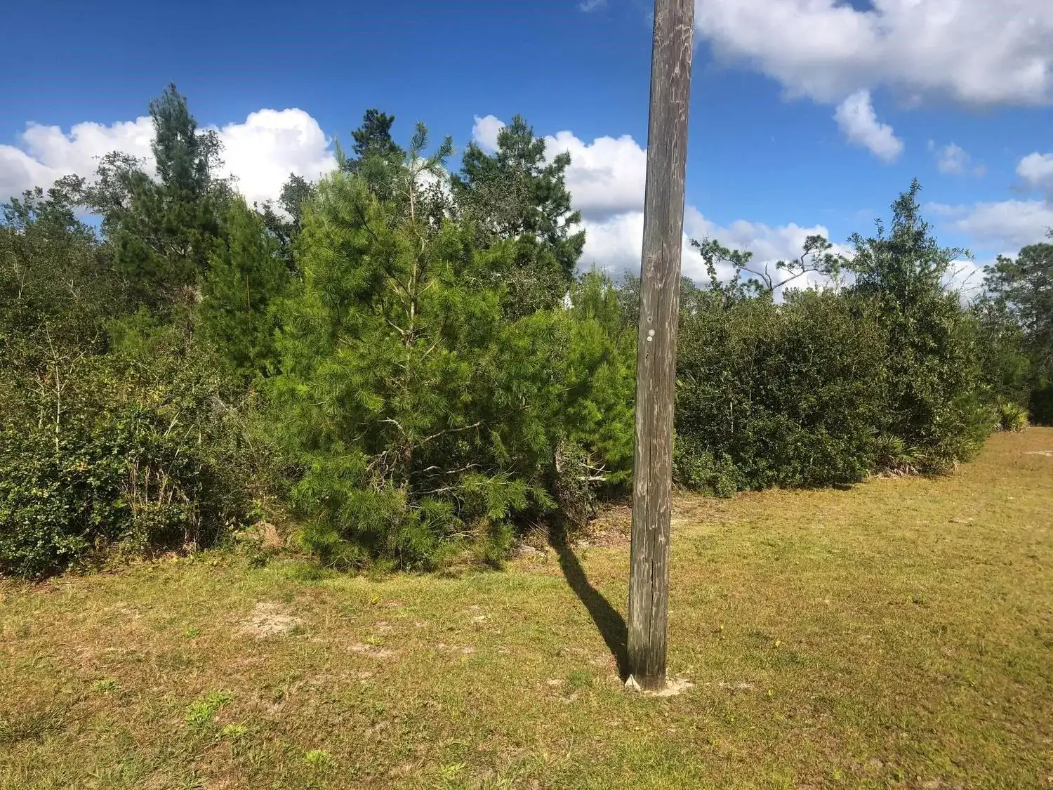 204 Usina Avenue, FL 32148 photo 2