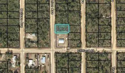 204 Usina Avenue, FL 32148 photo 3