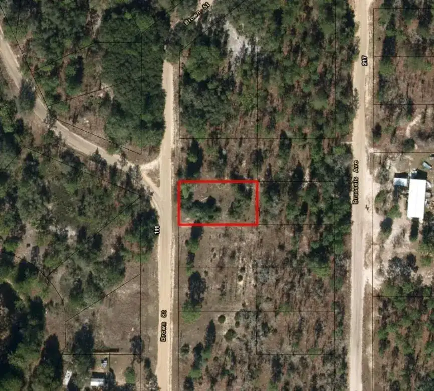 110 Brown Street, FL 32148 photo 2