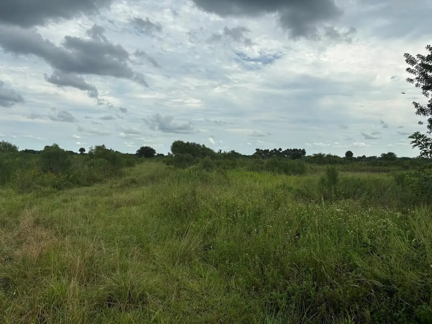 29800 NW 192nd Avenue, Okeechobee FL 34972 photo 2