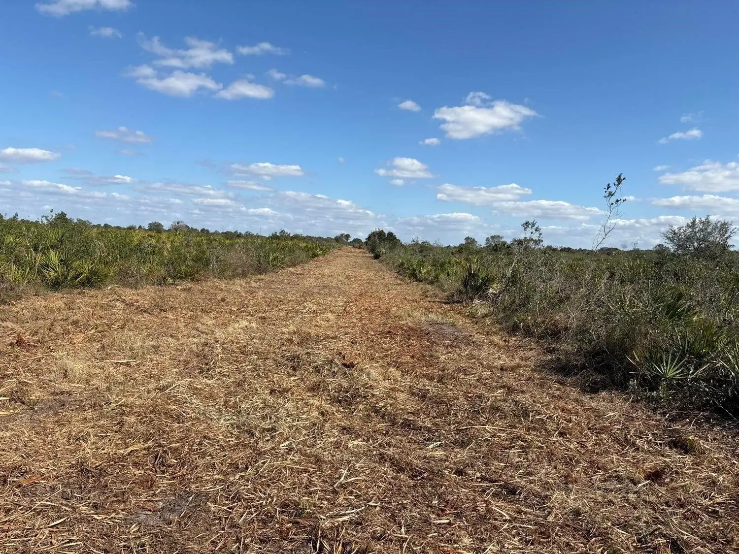 0 NW 316th Street, Okeechobee FL 34972 photo 3