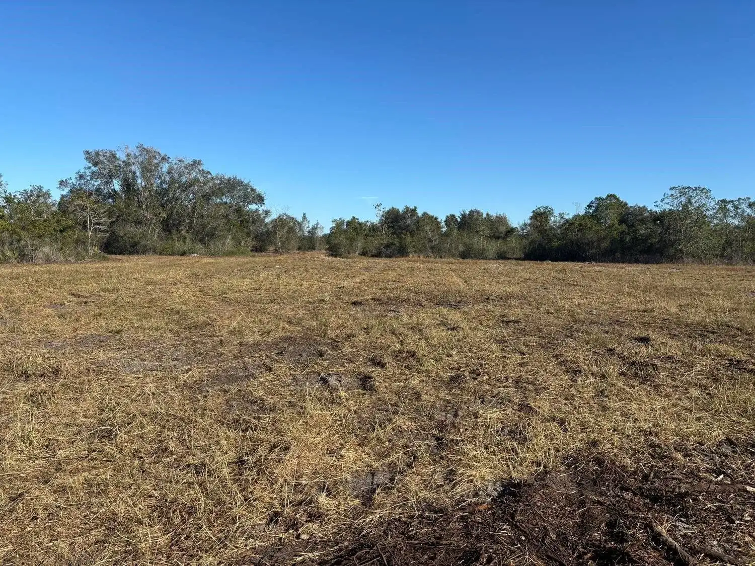 0 NW 296th Street, Okeechobee FL 34972 photo 2