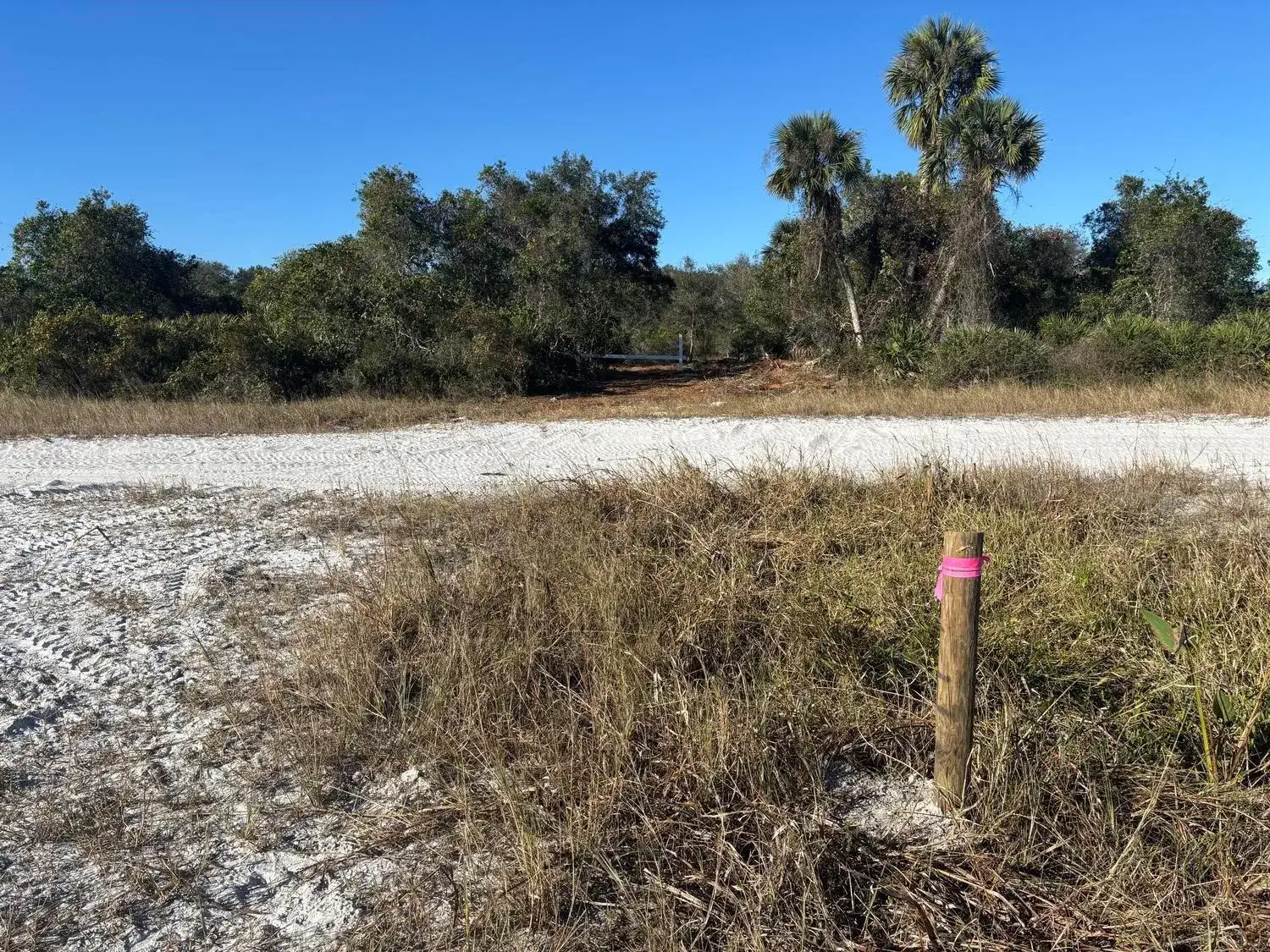 0 NW 296th Street, Okeechobee FL 34972 photo 3