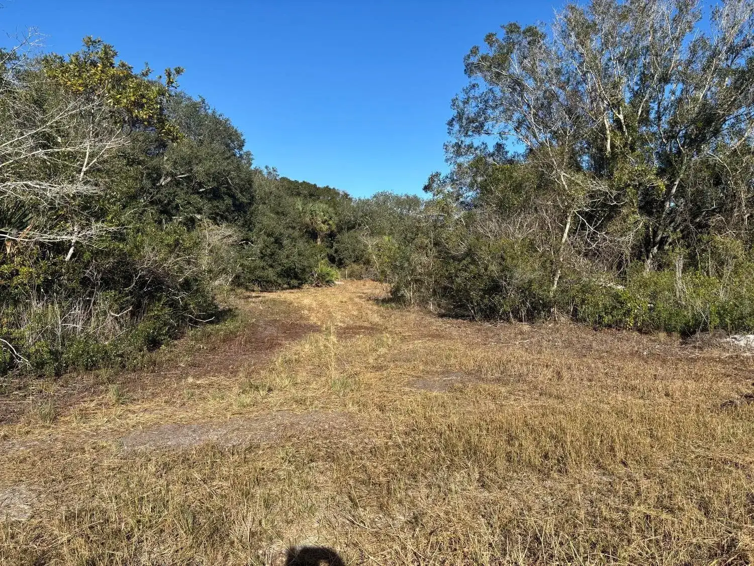 0 NW 296th Street, Okeechobee FL 34972 photo 4