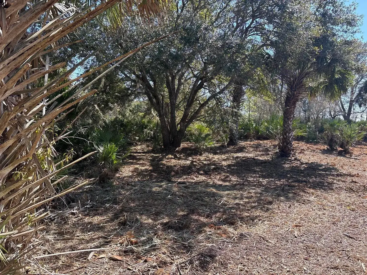 0 NW 304th Street, Okeechobee FL 34972 photo 3