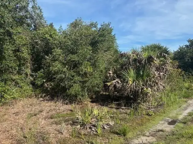 0 NW 304th Street, Okeechobee FL 34972 photo 2