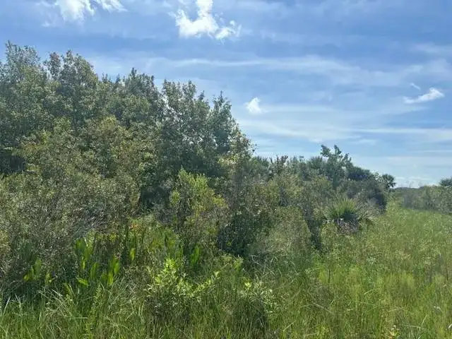 0 NW 318th Street, Okeechobee FL 34972 photo 2