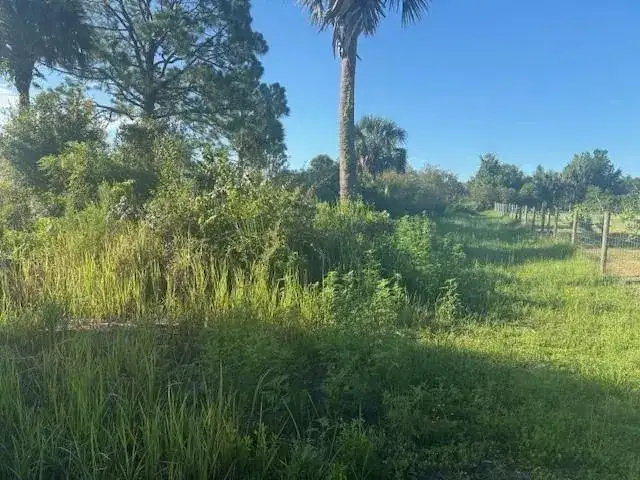 19216 NW 300th Street, Okeechobee FL 34972 photo 3