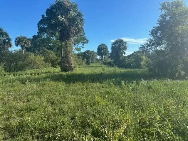 19216 NW 300th Street, Okeechobee FL 34972 photo 4