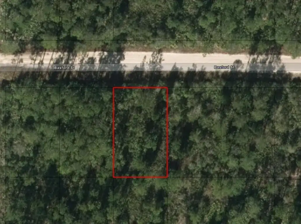 0 W Basford Street, FL 32148 photo 2