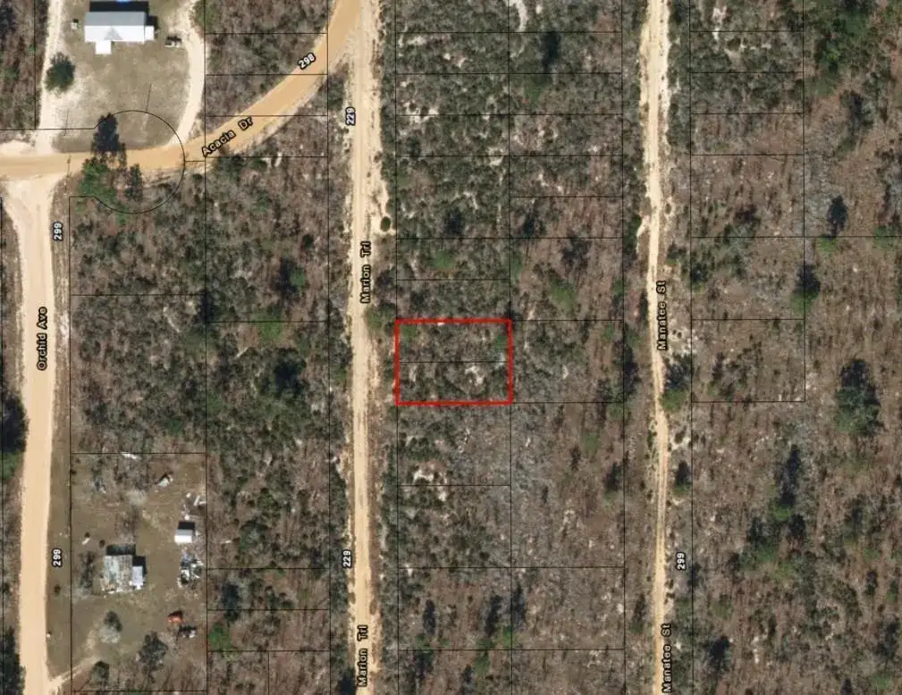 214 Marion Trail, FL 32148 photo 2