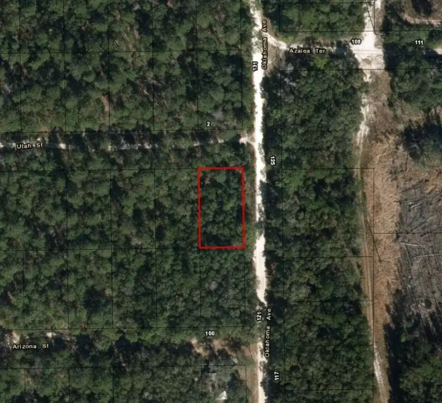 0 Oklahoma Avenue, FL 32189 photo 2