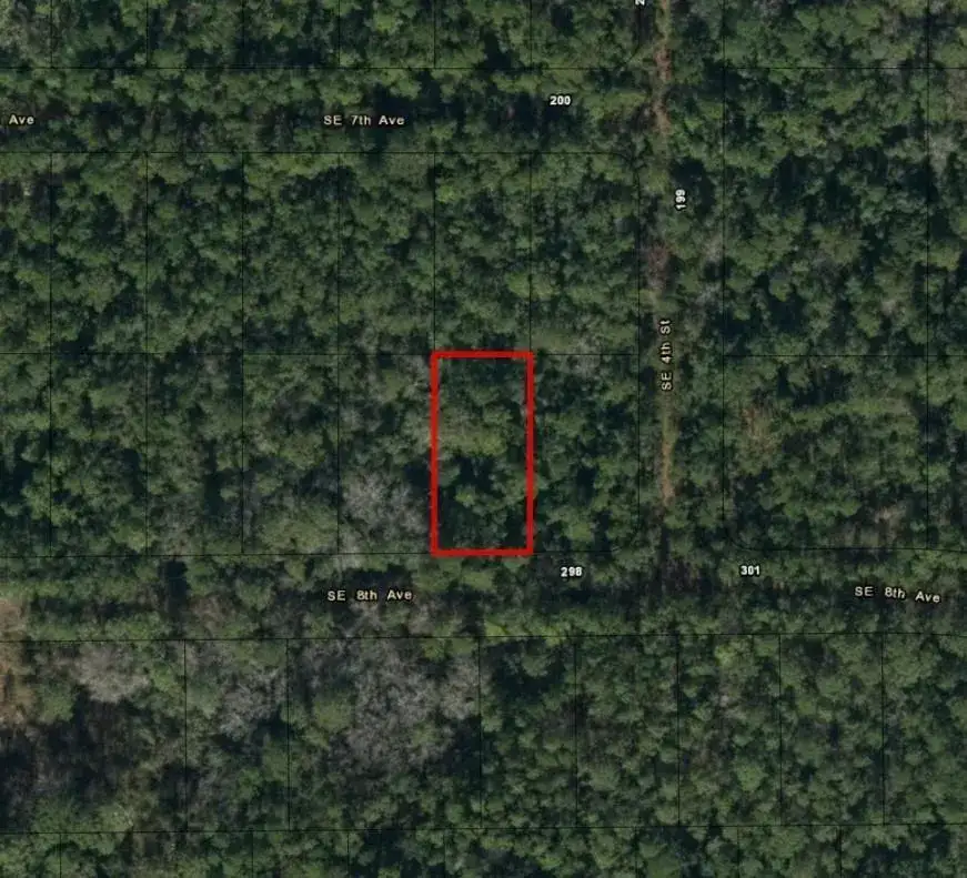 224 SE 8th Avenue, Palatka FL 32177 photo 3