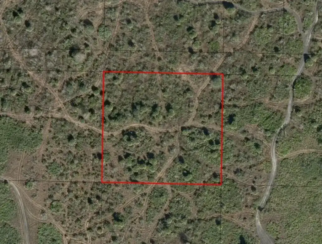 0 NW 312th Street, Okeechobee FL 34972 photo 2