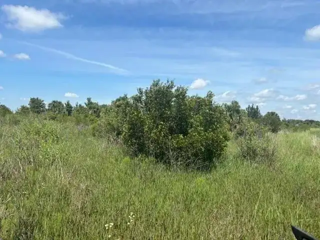 0 NW 300th Street, Okeechobee FL 34972 photo 2