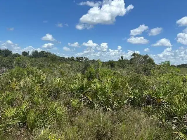 0 NW 314th Street, Okeechobee FL 34972 photo 2
