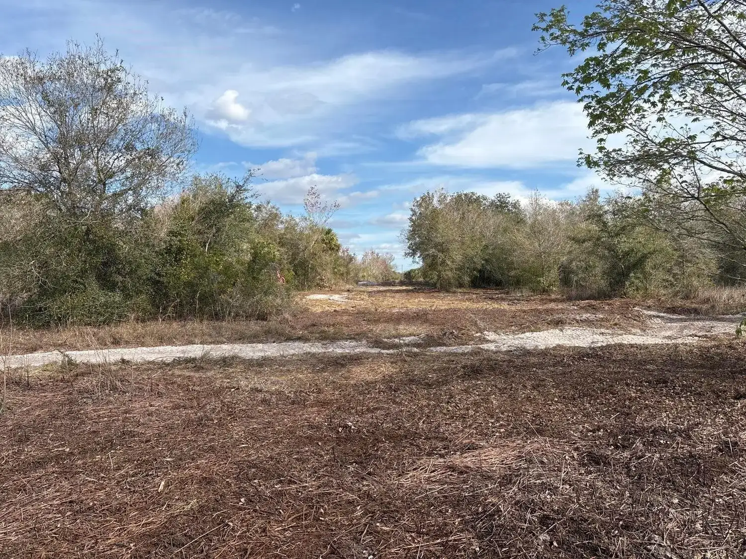 0 NW 296th Street, Okeechobee FL 34972 photo 2
