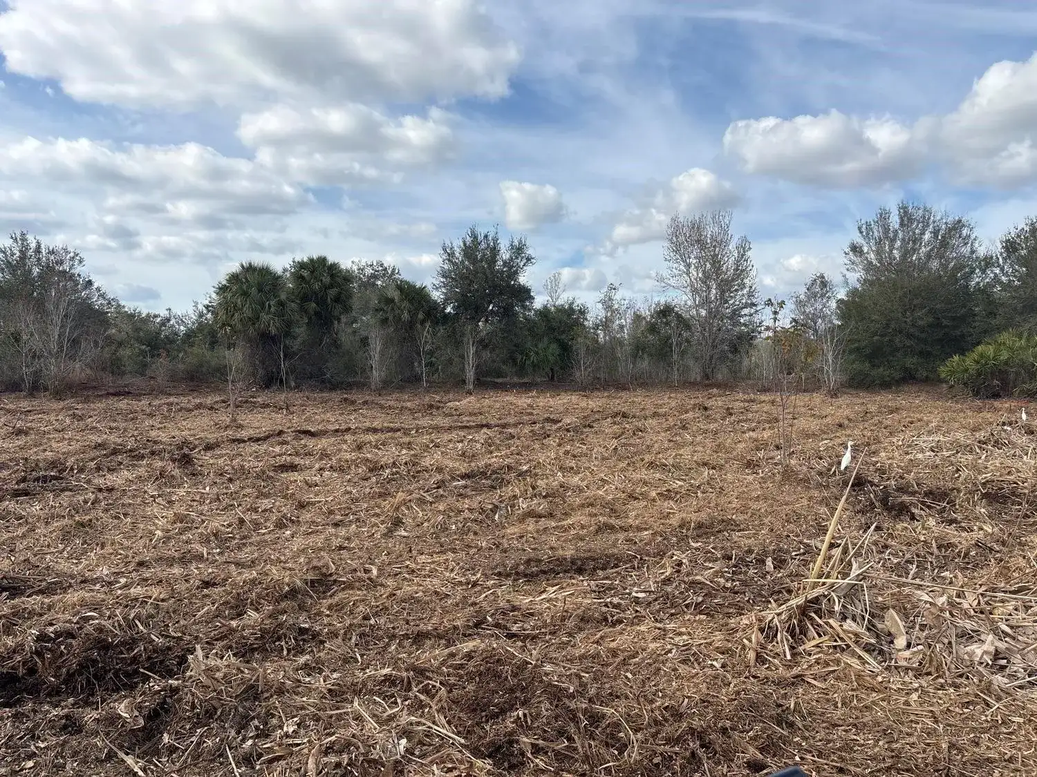 0 NW 296th Street, Okeechobee FL 34972 photo 3