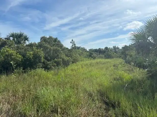 0 NW 308th Street, Okeechobee FL 34972 photo 2