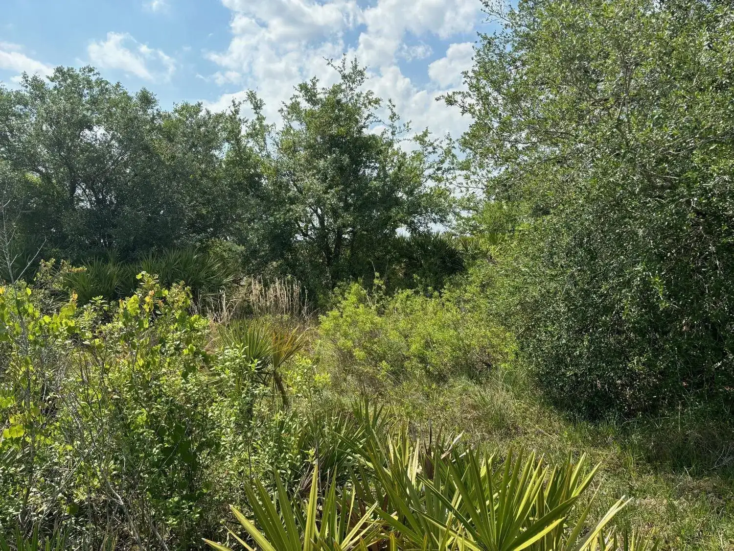 0 NW 318th Street, Okeechobee FL 34972 photo 3