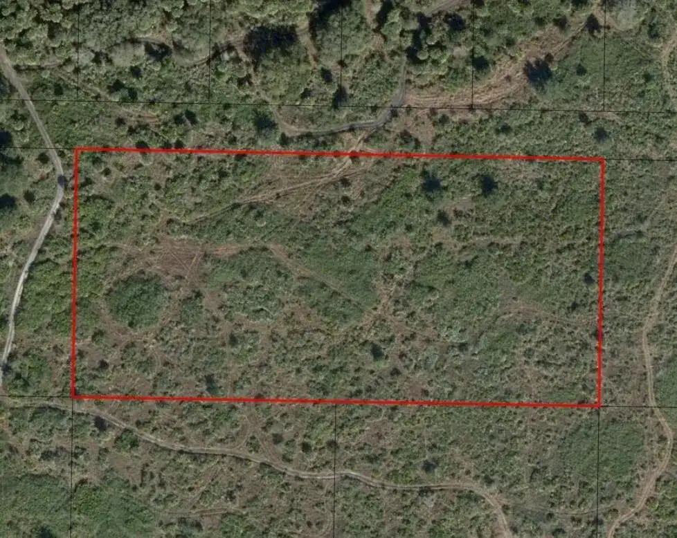 0 NW 306th Street, Okeechobee FL 34972 photo 2