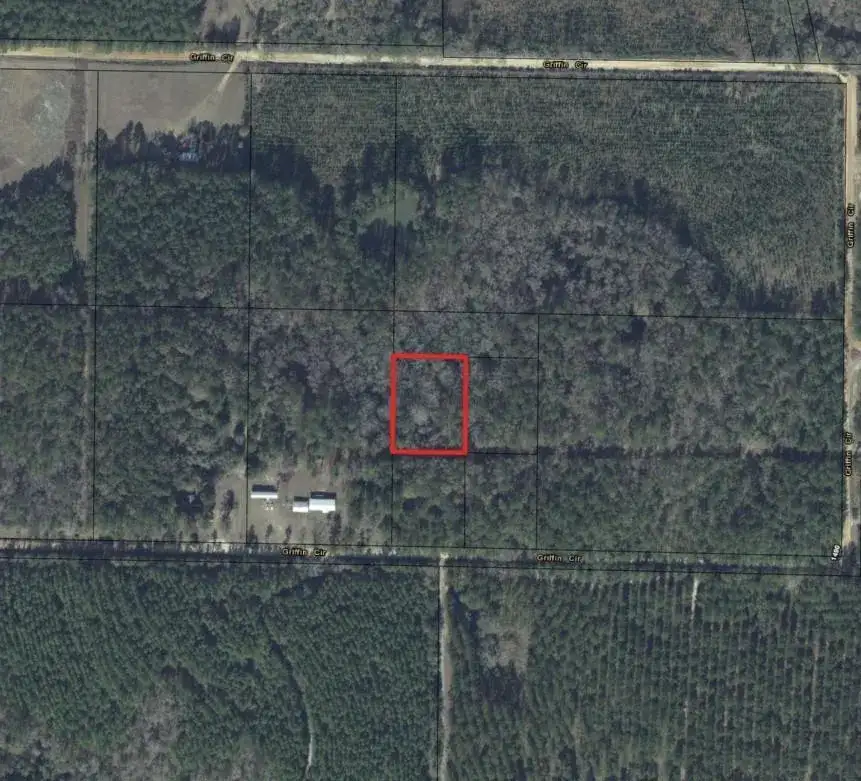 0 Griffin Circle, FL 32464 photo 3