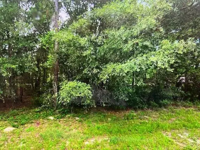 9550 N Quarry Drive, FL 34434 photo 2