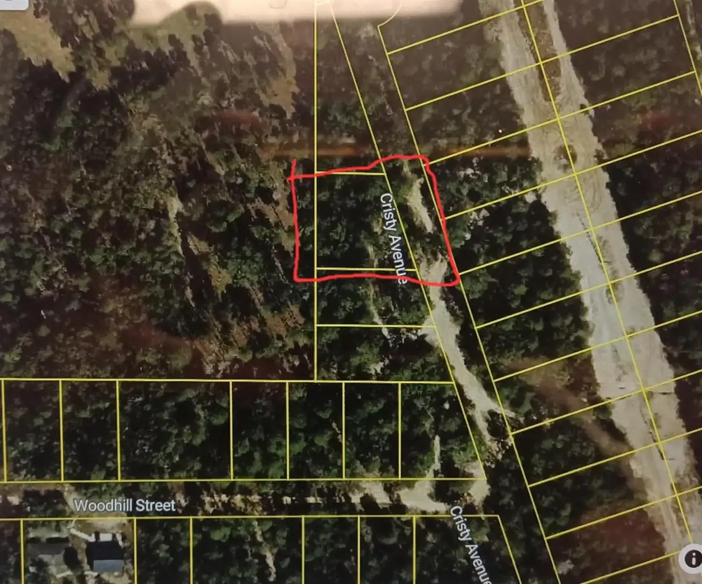 107 N Cristy Avenue, Inverness FL 34452 photo 2
