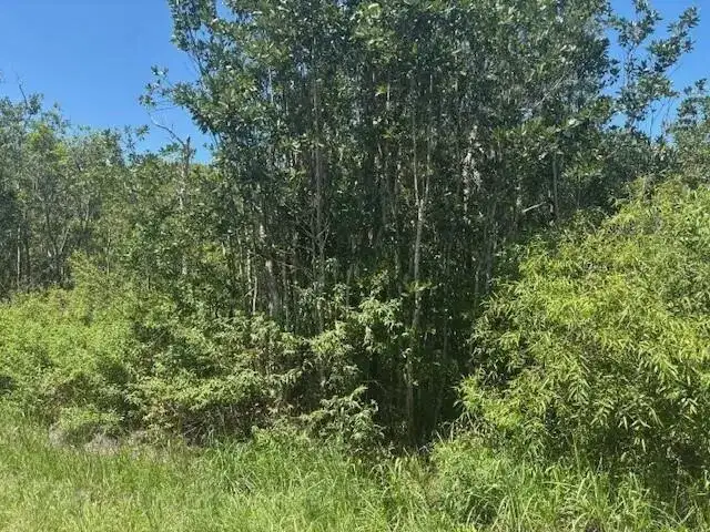 0 Sweet Hill Road, FL 33868 photo 3