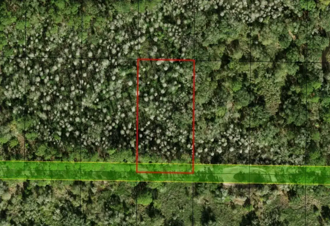 0 County Rd 54, FL 33849 photo 2