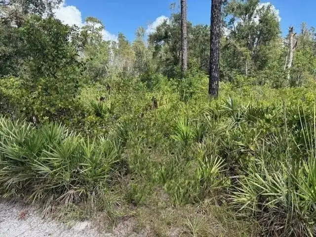 0 County Rd 54, FL 33849 photo 2