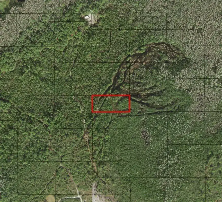 0 Holopaw Groves Road, FL 34772 photo 3