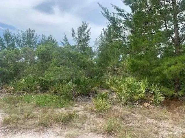 0 Holopaw Groves Road, FL 34772 photo 2