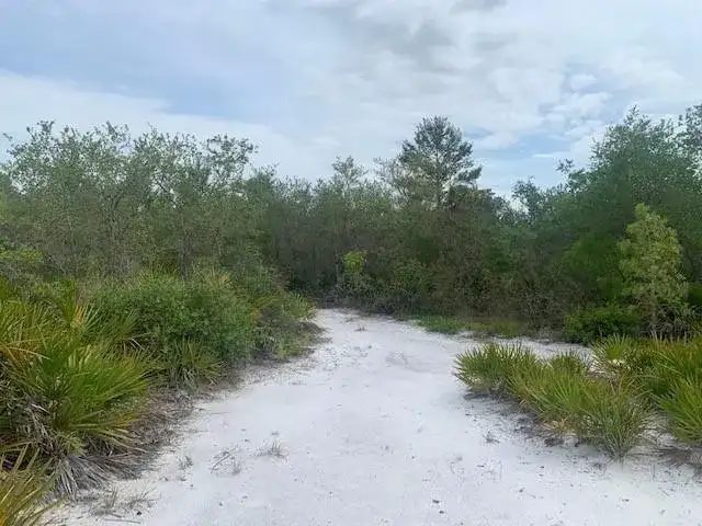 0 Holopaw Groves Road, FL 34772 photo 3
