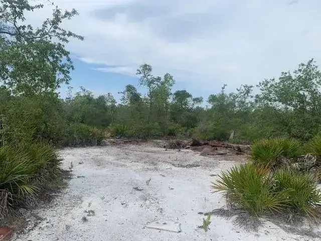 0 Holopaw Groves Road, FL 34772 photo 4