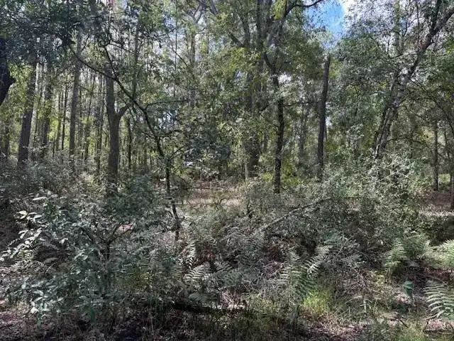 0 County Rd 54, FL 33849 photo 2