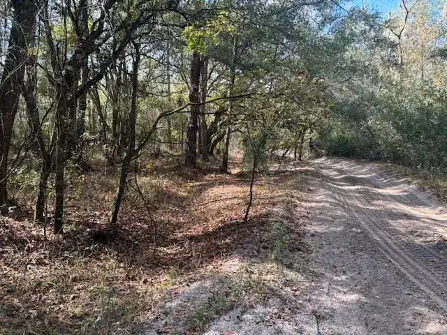 0 County Rd 54, FL 33849 photo 3