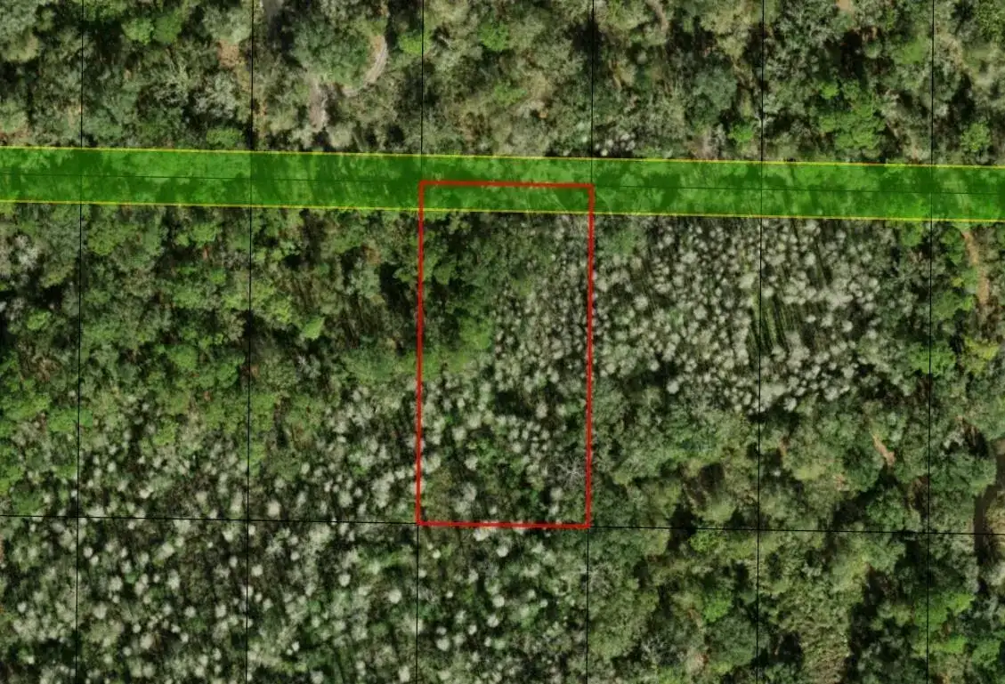 0 County Rd 54, FL 33849 photo 4