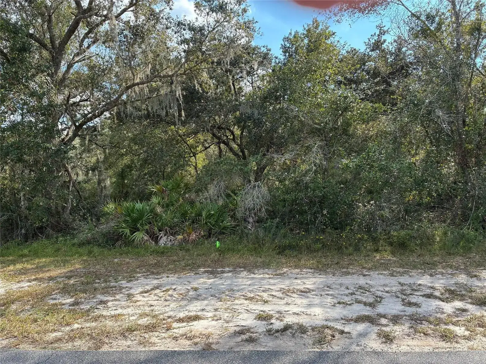 2521 Plumosa Drive, FL 33855 photo 3