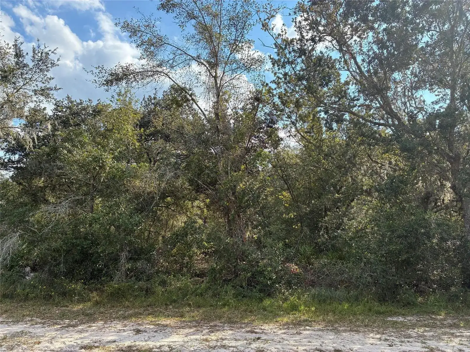 2521 Plumosa Drive, FL 33855 photo 4