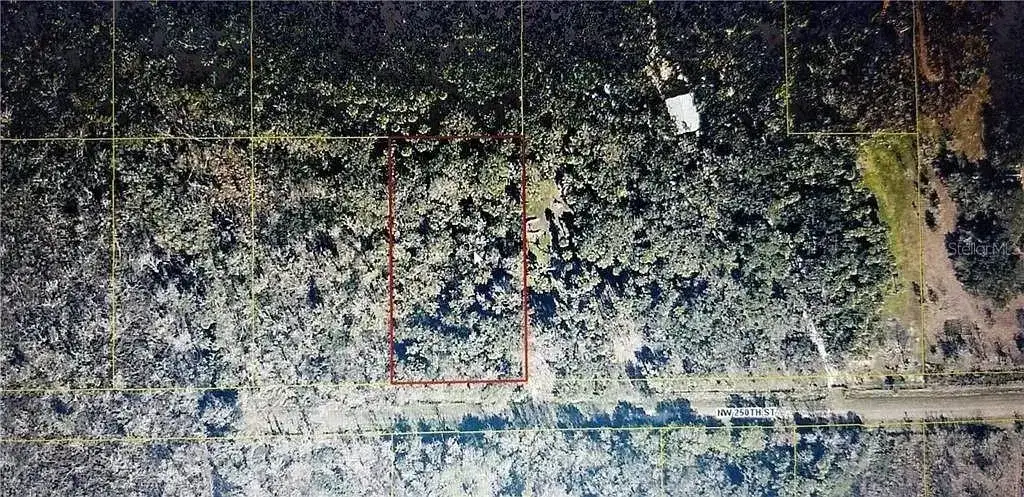 21331 NW 250th Street, Okeechobee FL 34972 photo 3